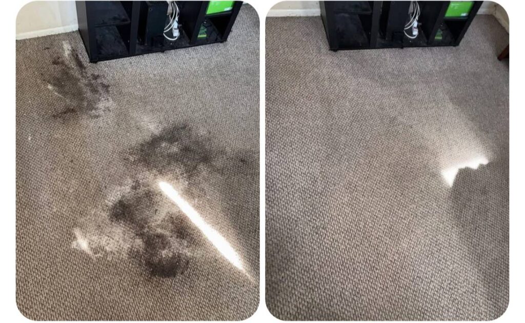 Upholstery & Couch Cleaners in Long Beach