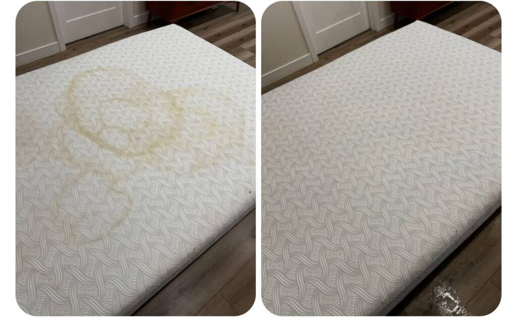 Upholstery & Couch Cleaners in Long Beach