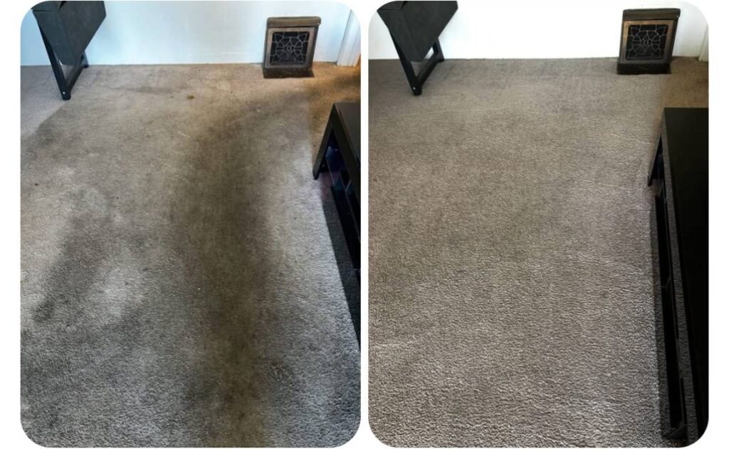 Upholstery & Couch Cleaners in Long Beach
