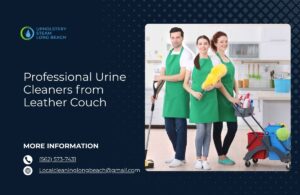 Expert Cleaning Urine from Leather Couch in Long Beach